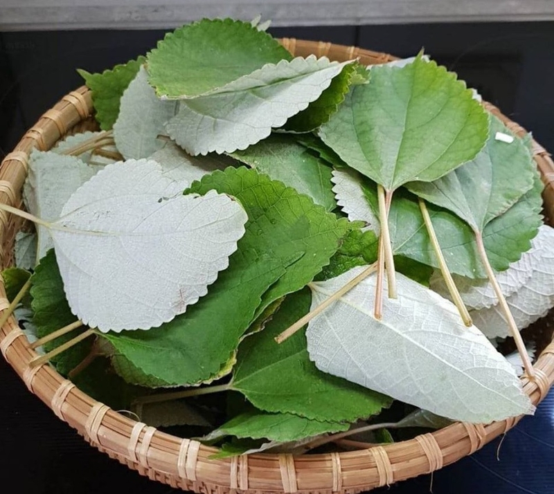 la_gai_lam_banh_