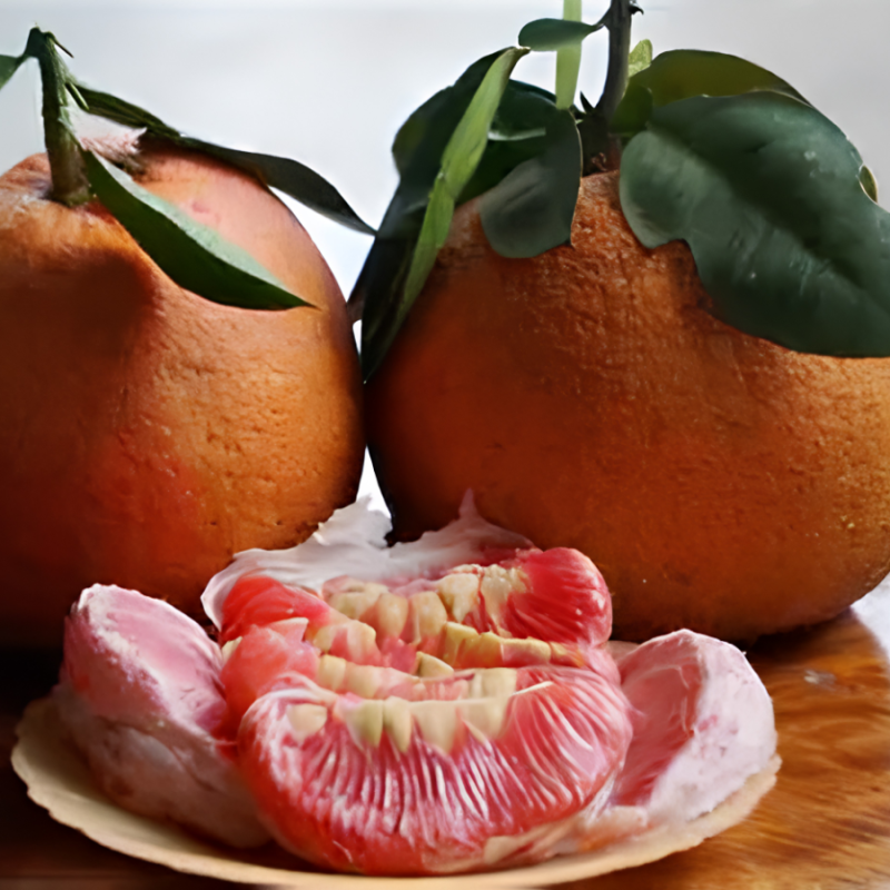 bưởi luận văn Thanh Hóa